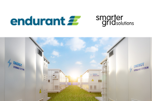 case study endurant_updated